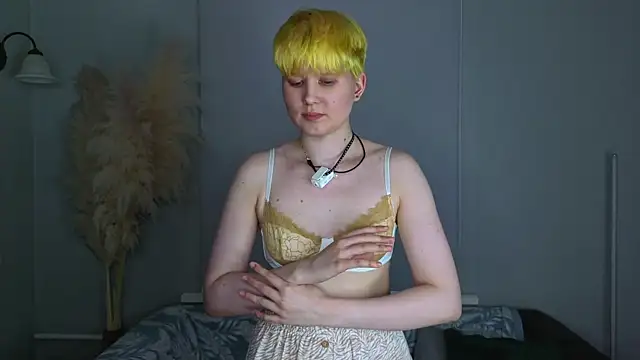 CherrryMuse webcam