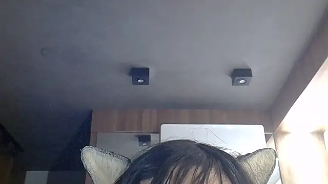 SkinnyKitten webcam
