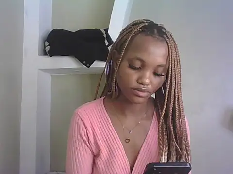 PrettyT5 webcam
