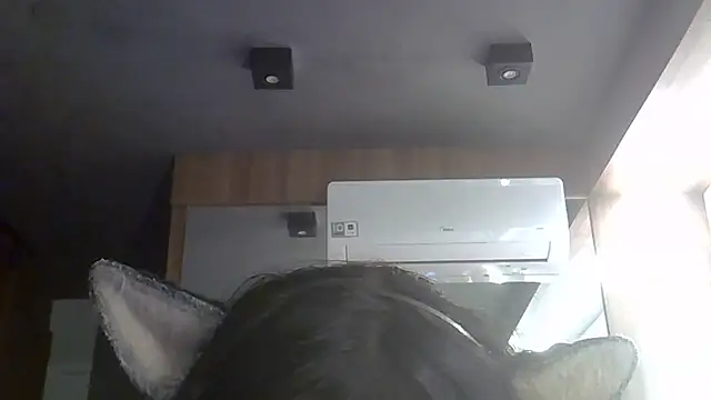 SkinnyKitten webcam