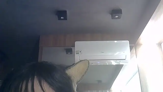 SkinnyKitten webcam