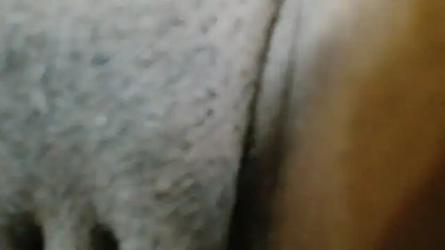 SexyyMandy webcam