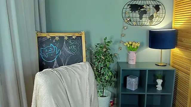 nortellii webcam
