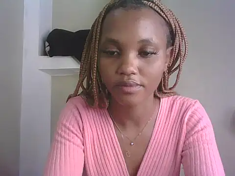 PrettyT5 webcam