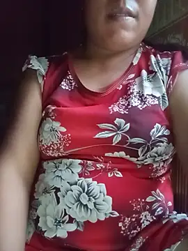 Ip34 webcam