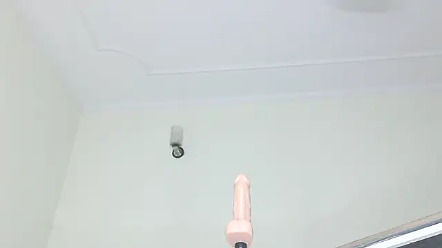 ElegantMiss webcam