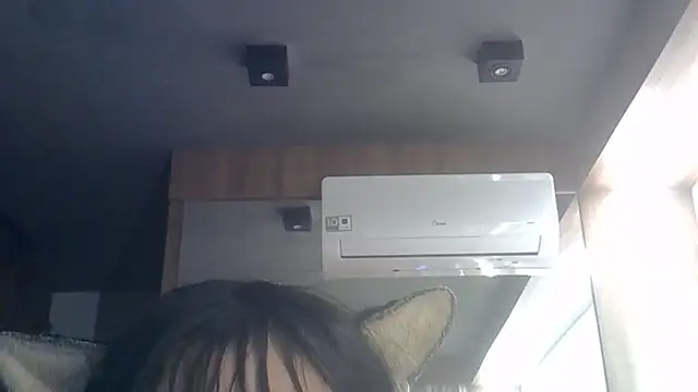SkinnyKitten webcam