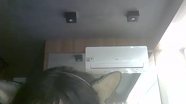 SkinnyKitten webcam