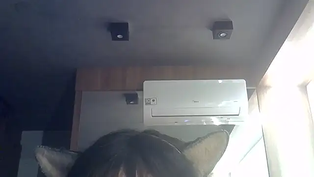 SkinnyKitten webcam