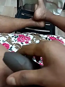Indianshine webcam