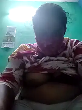 dhararni webcam