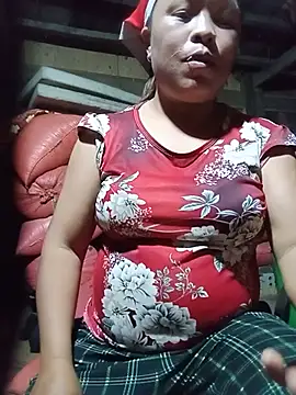 Ip34 webcam