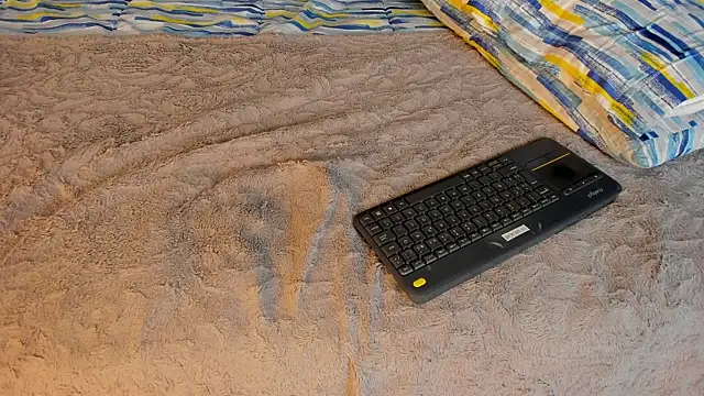 Charlie___Musk webcam