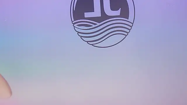 Sw-001 webcam