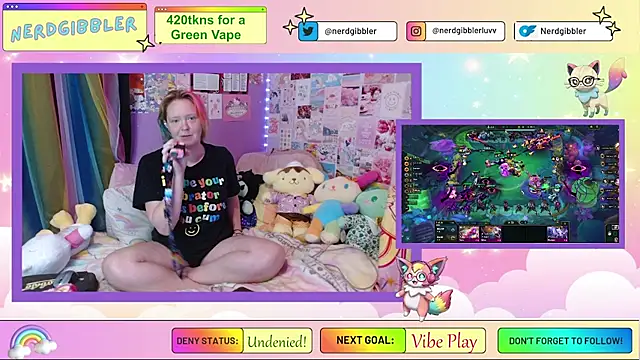 nerdgibbler webcam
