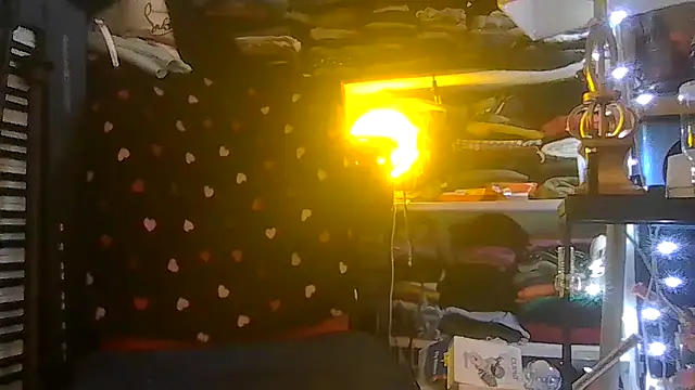 ShysluutGia webcam