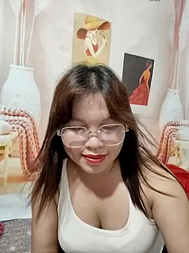Cover-baa webcam