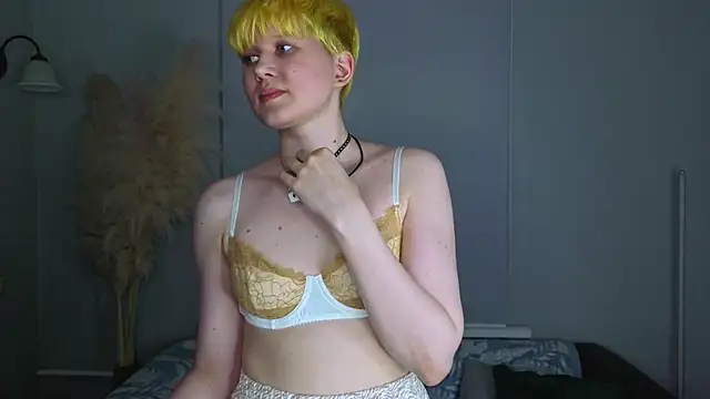 CherrryMuse webcam