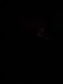 stuntedrime's live room