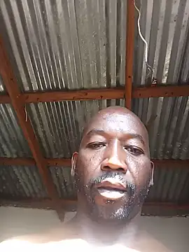 WiseDi webcam