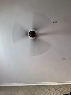 cutiecatty21 webcam