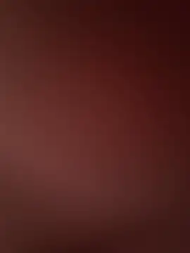 Mina-02 webcam