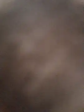 Chinfong255 webcam