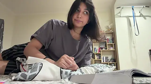 PaintedDisplay webcam