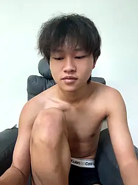 JJ9521 webcam