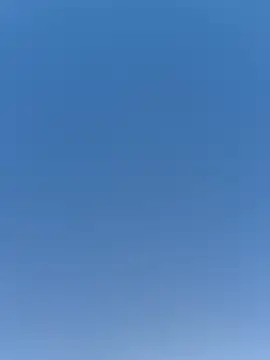 exoticbirds webcam