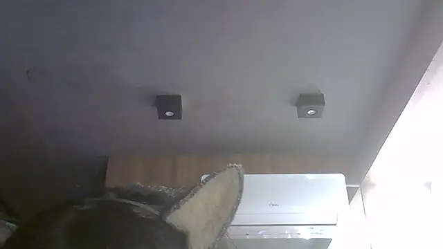 SkinnyKitten webcam