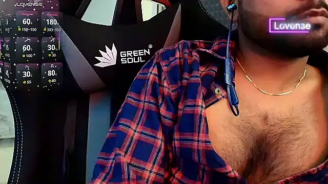 SilverShade3 webcam