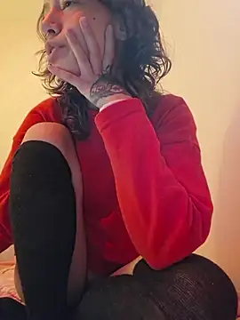 Modelo: cyber_psyche