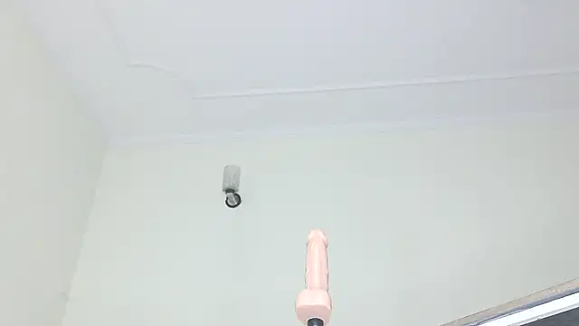 ElegantMiss webcam
