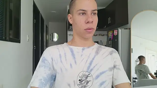 grey___27 webcam