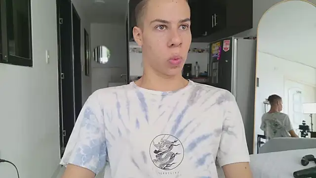 grey___27 webcam
