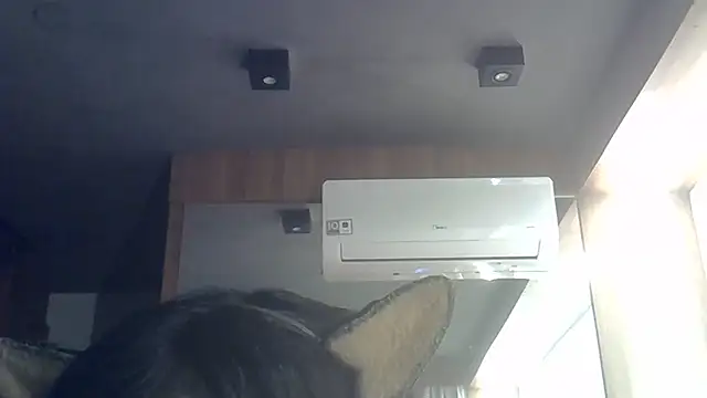 SkinnyKitten webcam