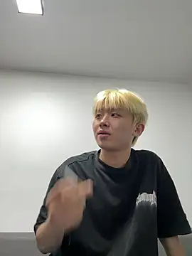 Cnmp6666 webcam