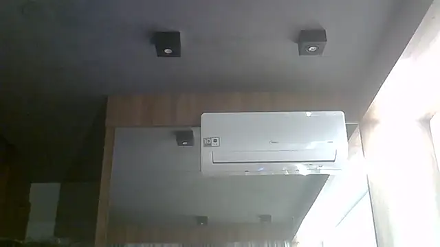 SkinnyKitten webcam