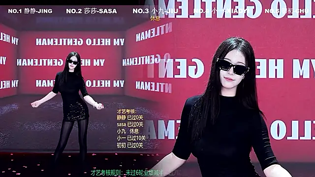 TY-002 webcam