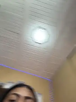Moonceleste webcam