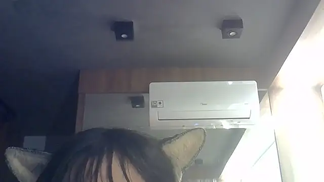 SkinnyKitten webcam