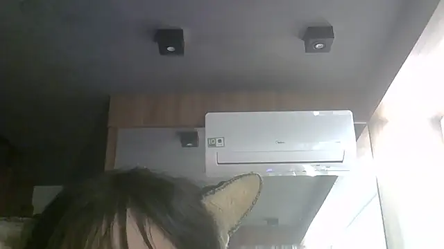 SkinnyKitten webcam