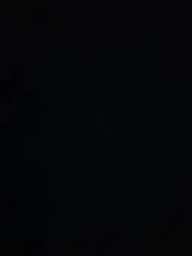 dolphiinn's live cam