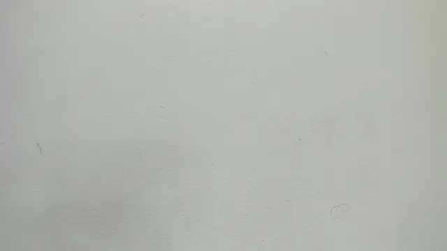Norki_ webcam