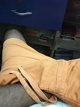 mohit08desi webcam