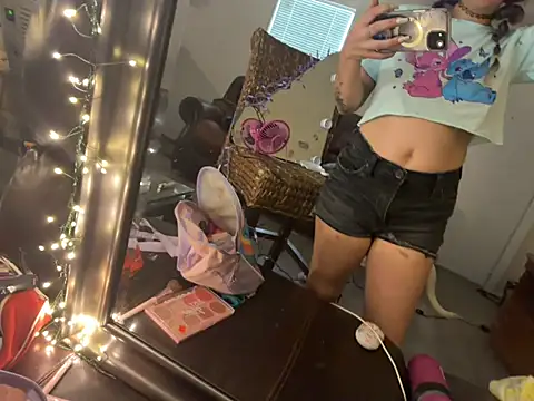 MegaTinyyy webcam
