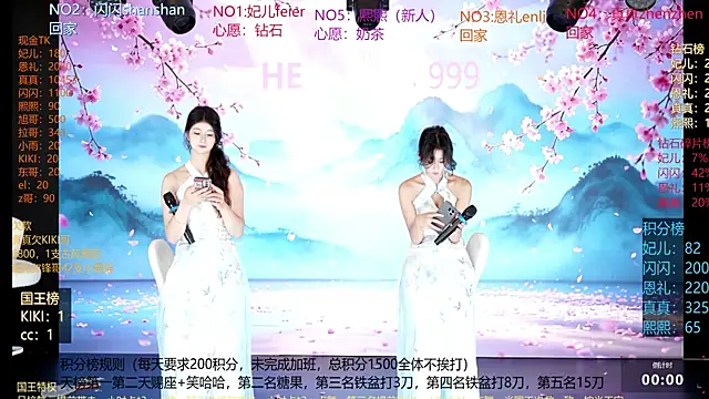 HE-999 webcam