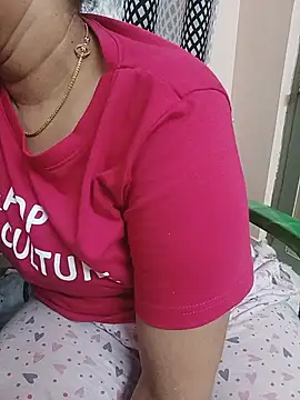 Hansikatelugu webcam