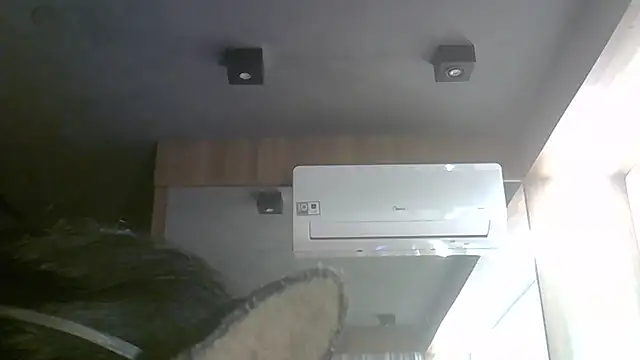 SkinnyKitten webcam